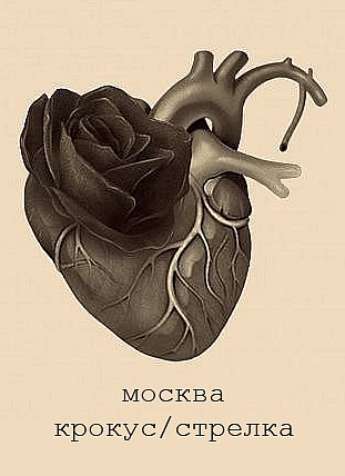 Обложка видео «Москва.Крокус/Стрелка»