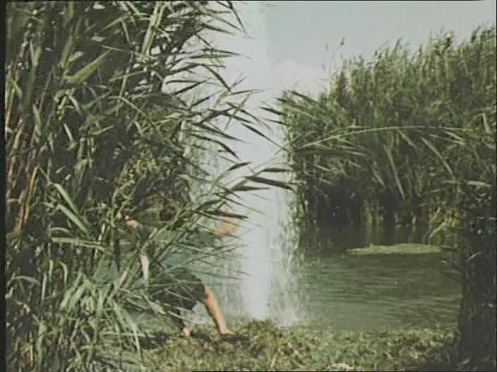 04. Столп воды, обнаруженный вместо «рёва Вишапа», едва не вызывает гибель Камо.