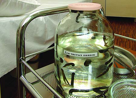 Hirudotherapie 2.jpg