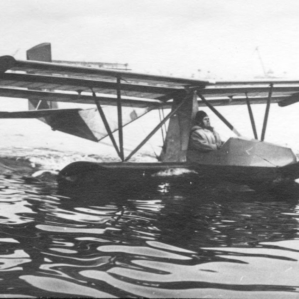 Файл:БРО-17 уточка.jpg