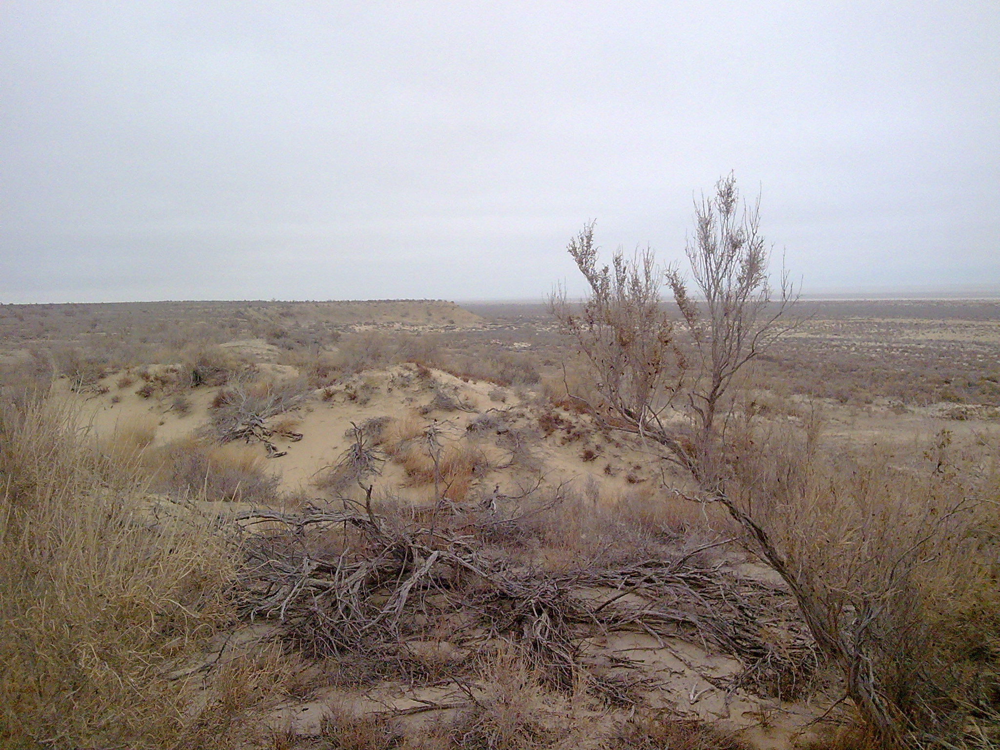 Нынешний берег острова Возрождения