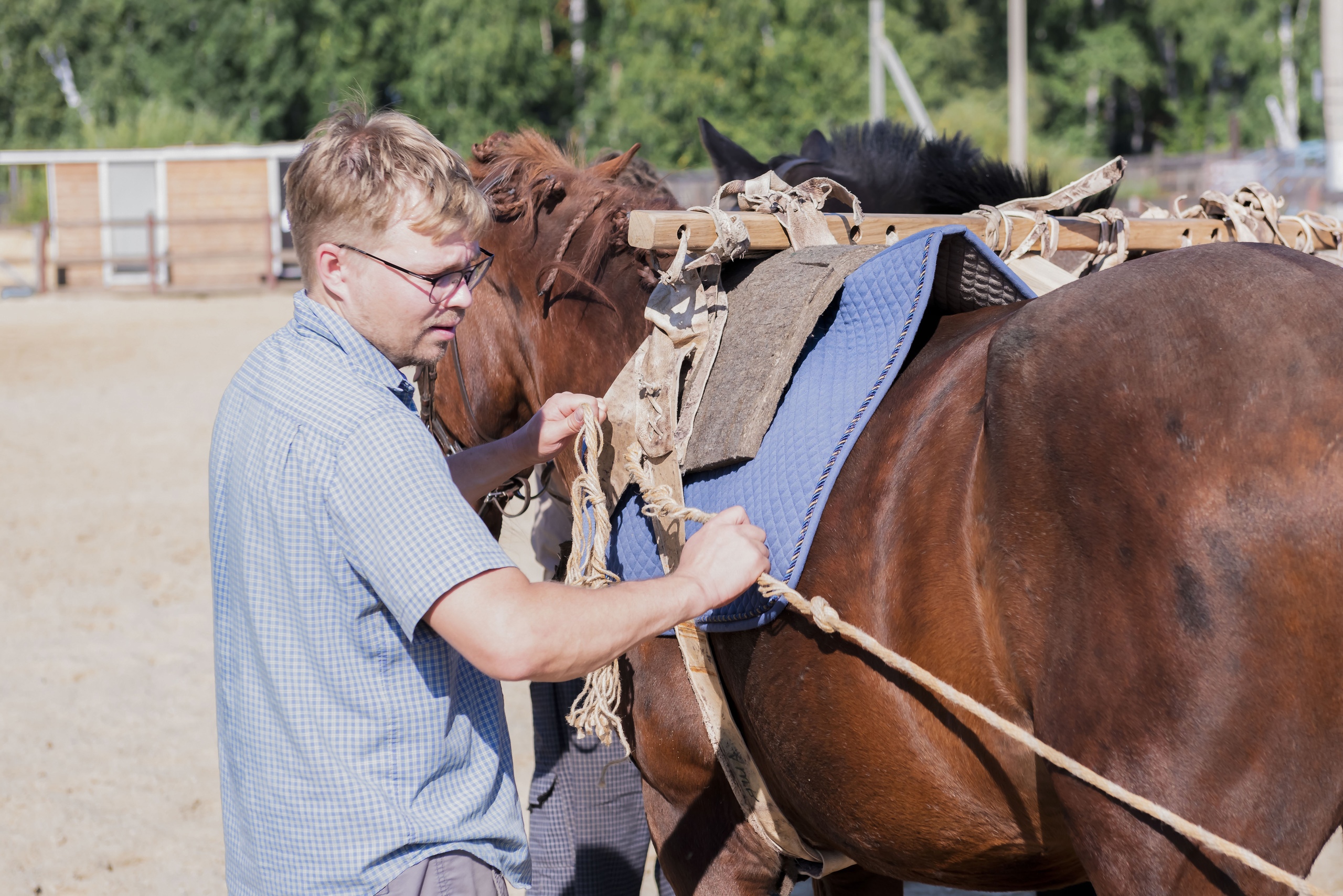 Чечушков упряжь 2.jpg