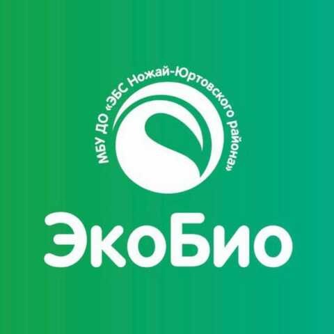 Файл:ЭБС ножай-юртовского района.jpg