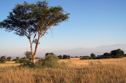 Панорама парка