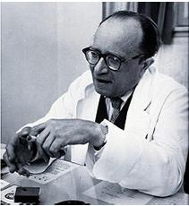 ליפמן היילפרין.jpg