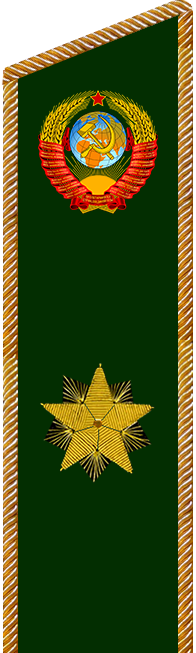 Действительный Государственный советник финансовой службы