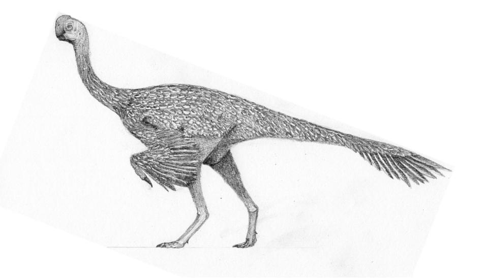 Banji by javifel-d989wy6.jpg