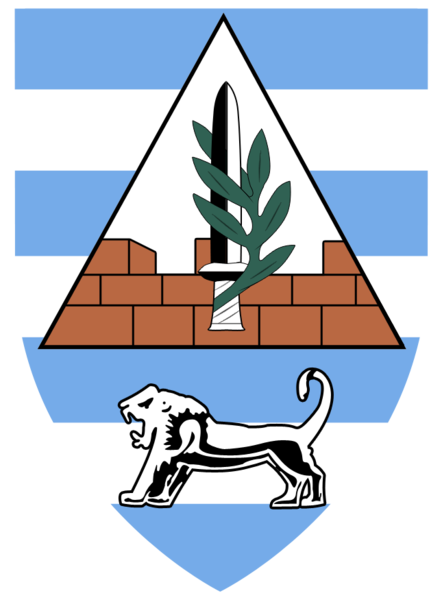 Symbol 877th Ayosh division.png