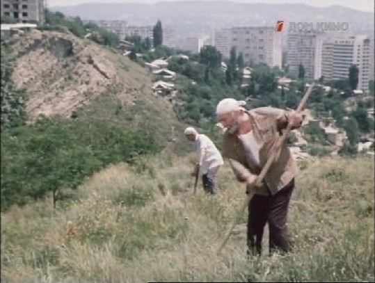 03. Косьба на фоне многоэтажэк.