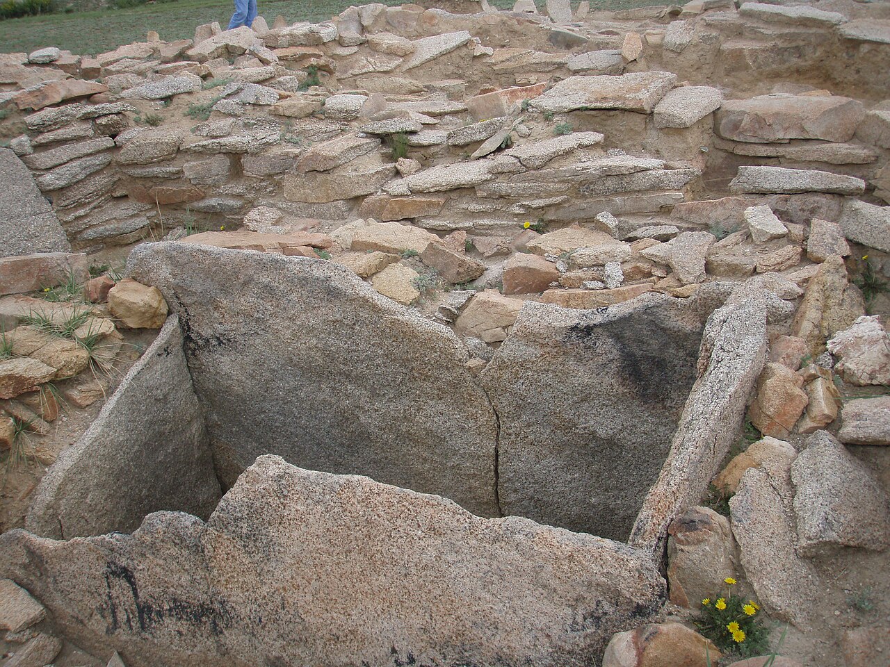 Кладбище Аксу Аюлу, Андроновская культура