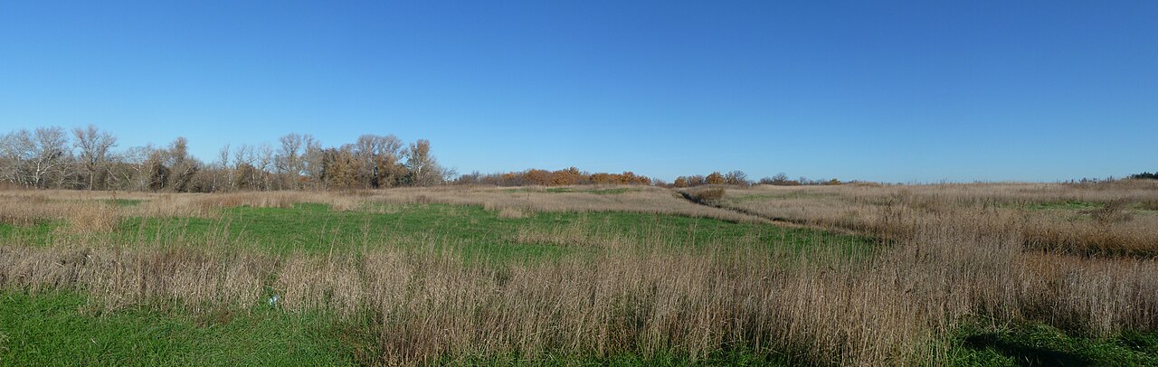Хутор Рогачи Даниловский район