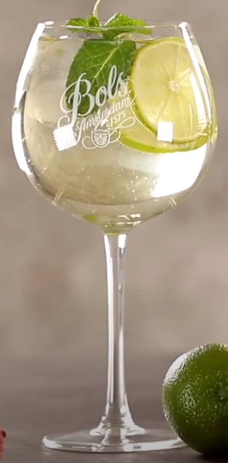 Файл:Lychee & Elderflower Spritz (коктейль).jpg