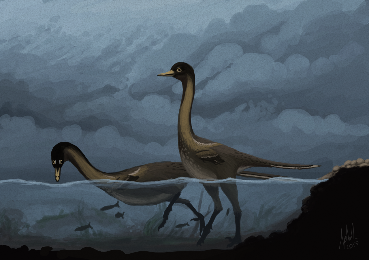 Tumblr inline p0te4aMbuM1rx4yme 1280.png