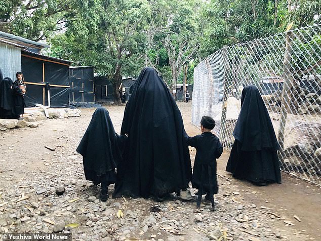 7663104-6516305-image-a-2 1545320377289.jpg