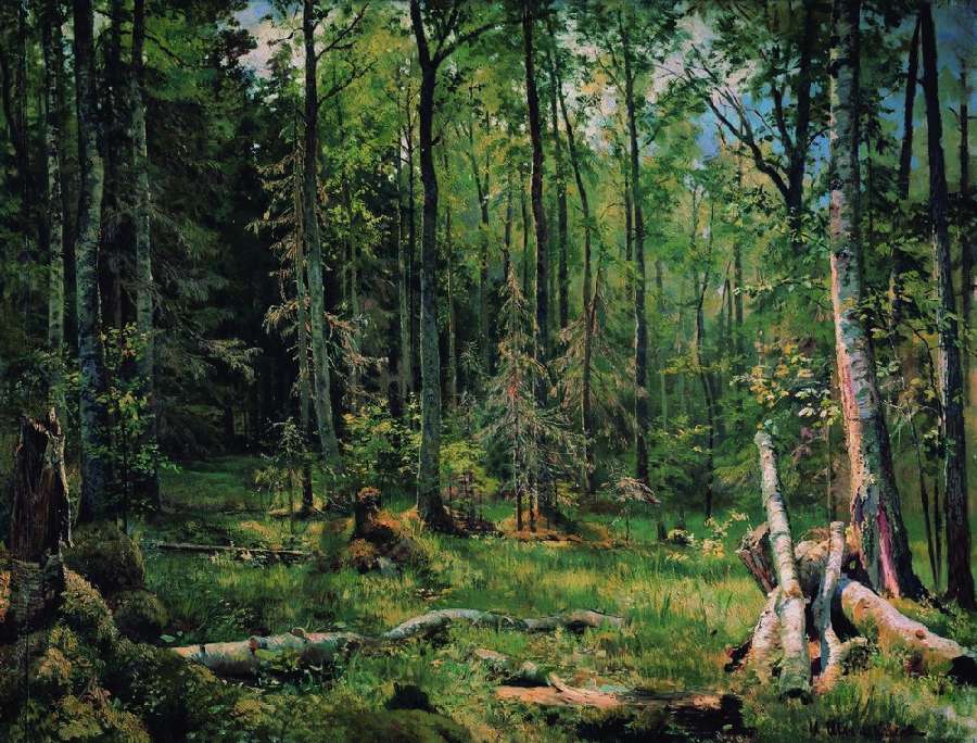 Смешанный лес (Шмецк близ Нарвы). 1888