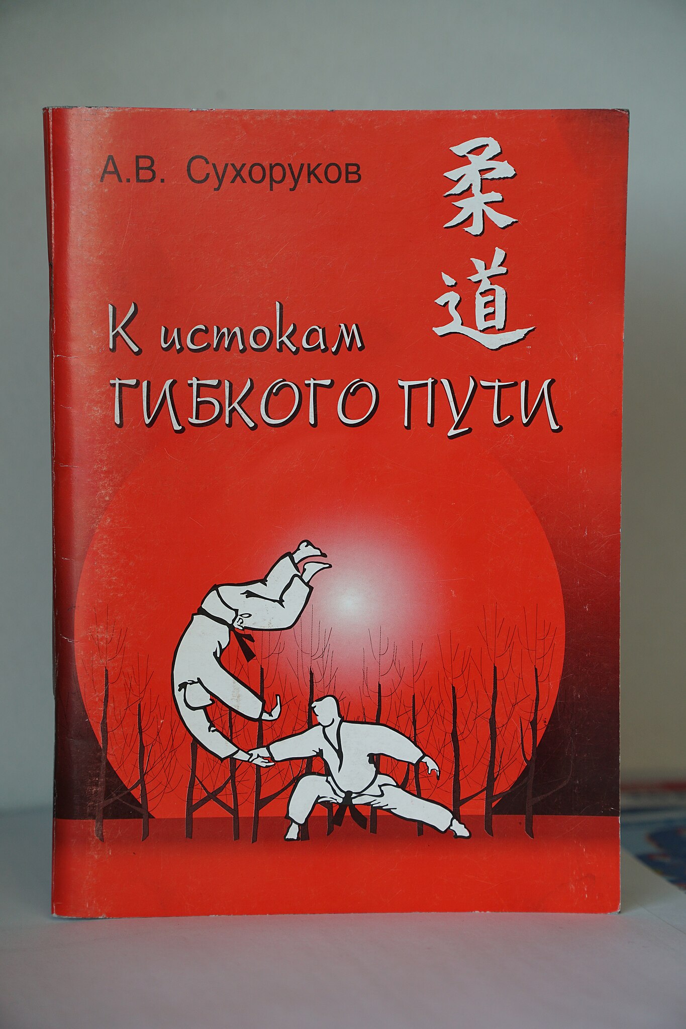 А. В. Сухоруков «К истокам гибкого пути»