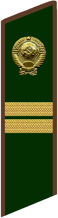 Младший советник финансовой службы 2 ранга