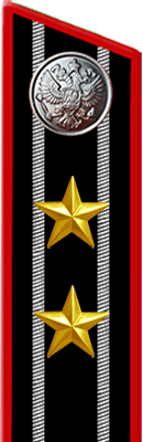 Петлица областного советника 2 класса