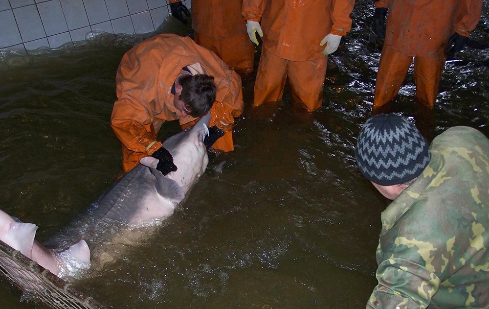 Кизанский ОРЗ11.jpg