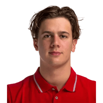 Файл:Ноэ Понти.png