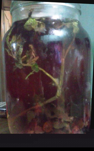 Спокойной ночи (коктейль) 2.jpg