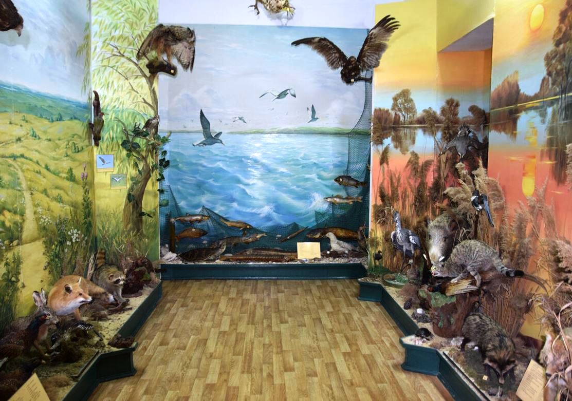 Зал природы Таманского полуострова.