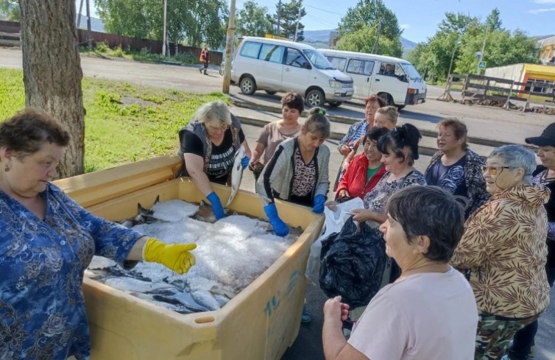 Социальная рыба в Елизовском районе