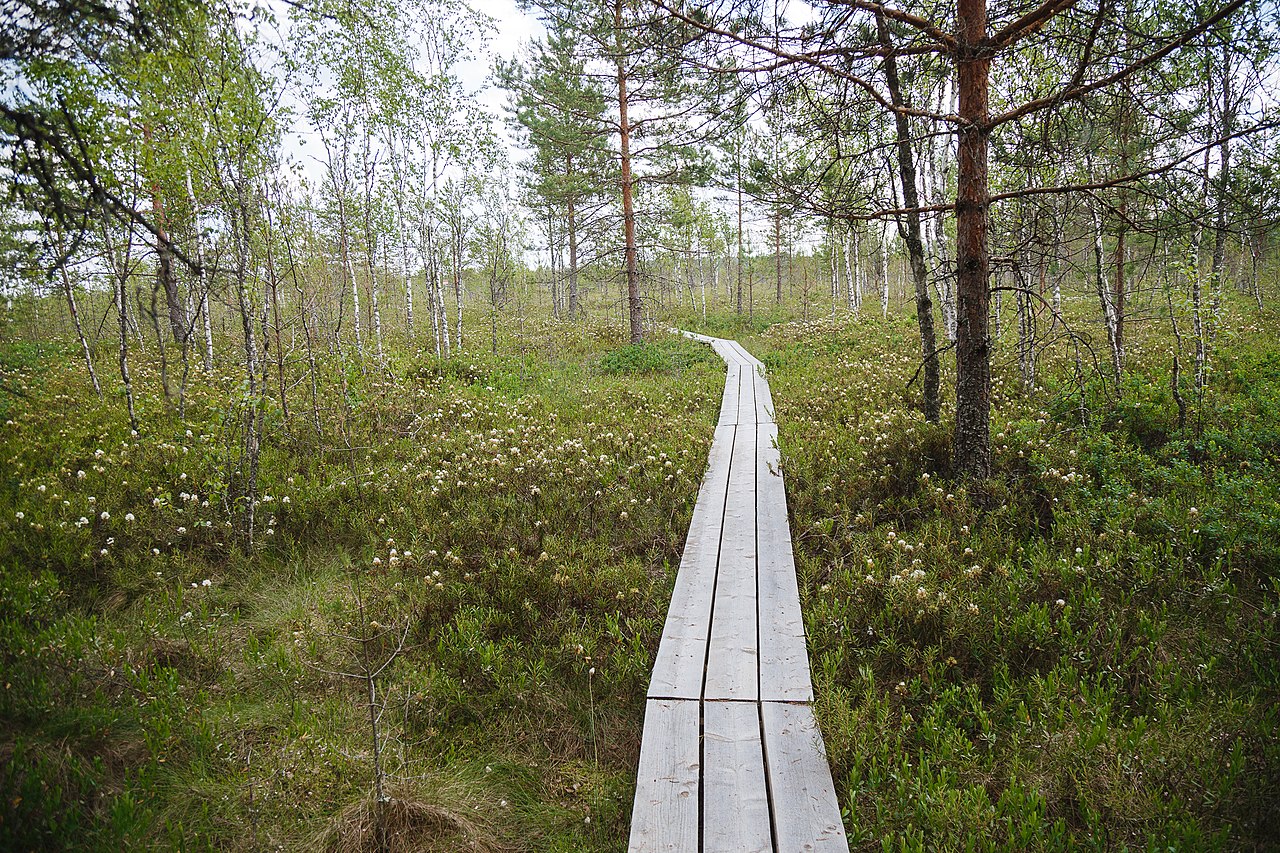 Полистовский заповедник 018 2.jpg