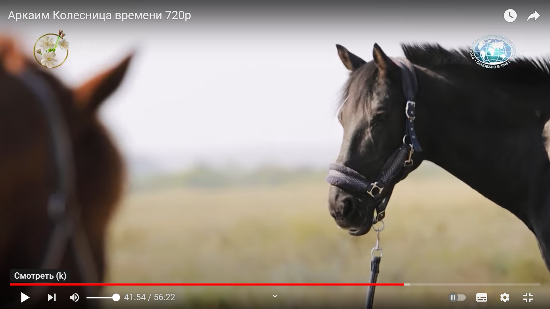 Аркаим Колесница времени кадр 17.png