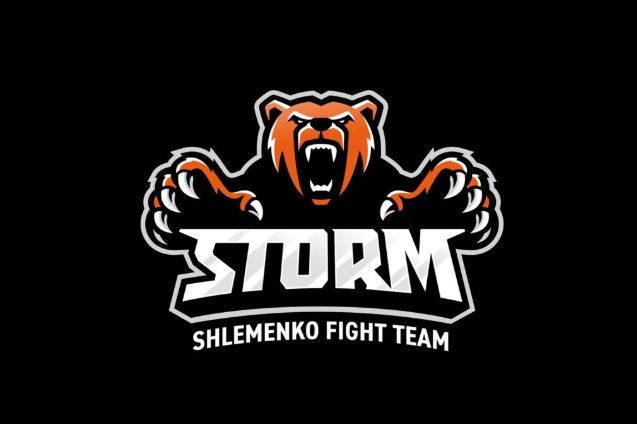 Файл:Логотип школы Шторм.jpg