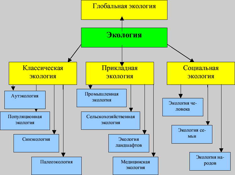Система основных экологических наук