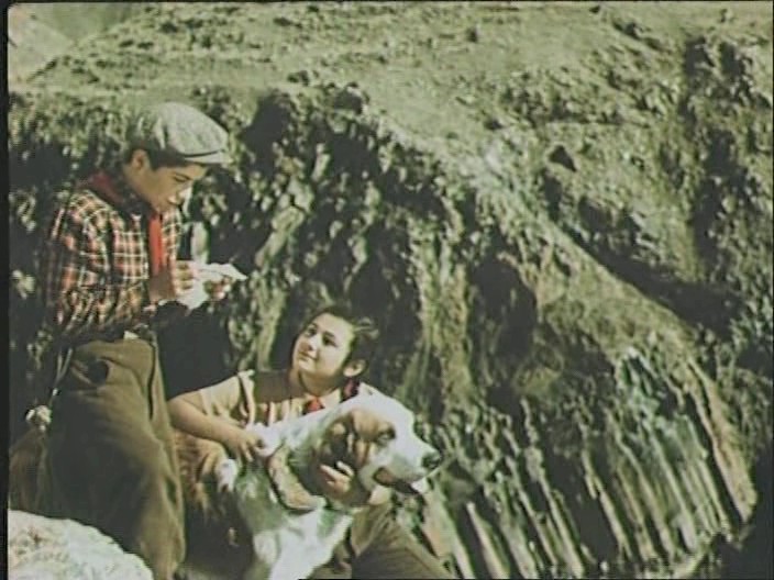 08. Пёс дедушки Асатура помогает обмениваться записками о ходе проверки.