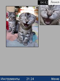 Файл:ProPaintMobile image editor laughting cat.jpg
