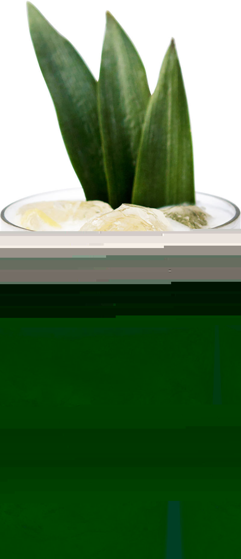 Файл:Имбирный смэш (коктейль).jpg