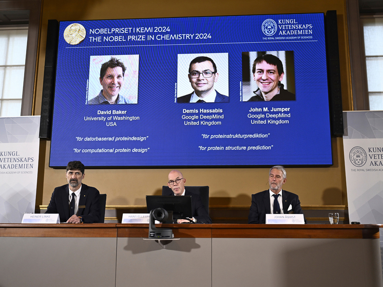 Нобелевская премия по химии 2024 года была присуждена Дэвиду Бейкеру, Демису Хассабису и Джону М. Джамперу