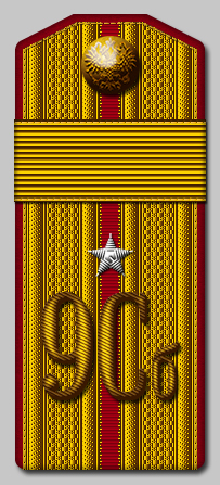 Зауряд-прапорщик получивший это звание в войну с Японией