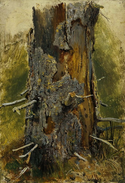 Кора на сухом стволе. 1889—1890