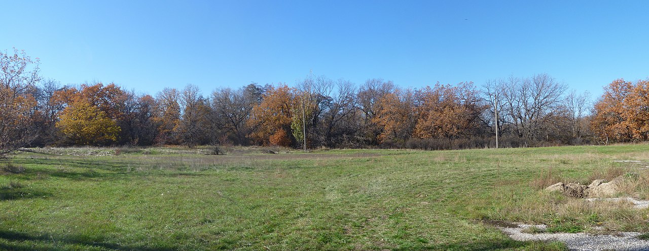 Даниловский район