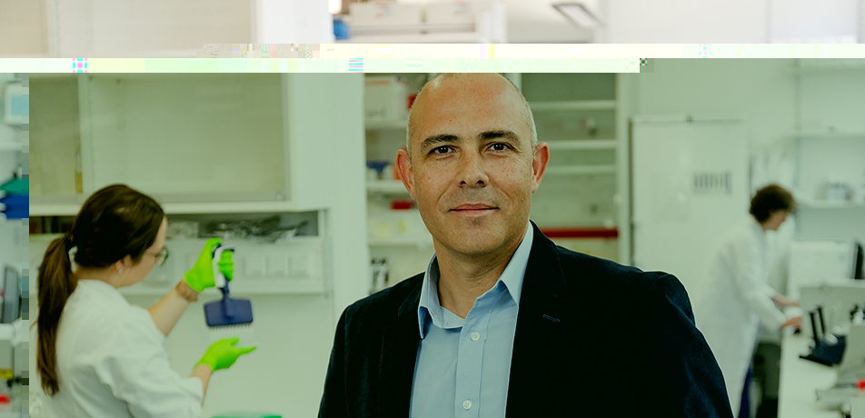 Compass alon chen 952x460px.jpg