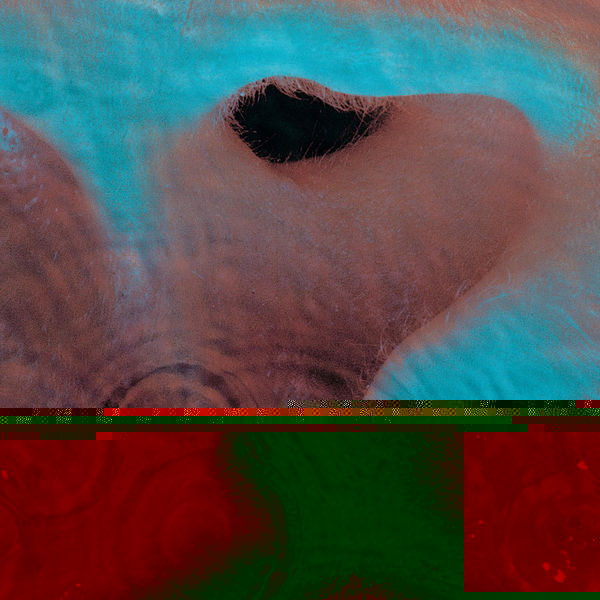 Обложка альбома «Meddle» (Pink Floyd, 1971)