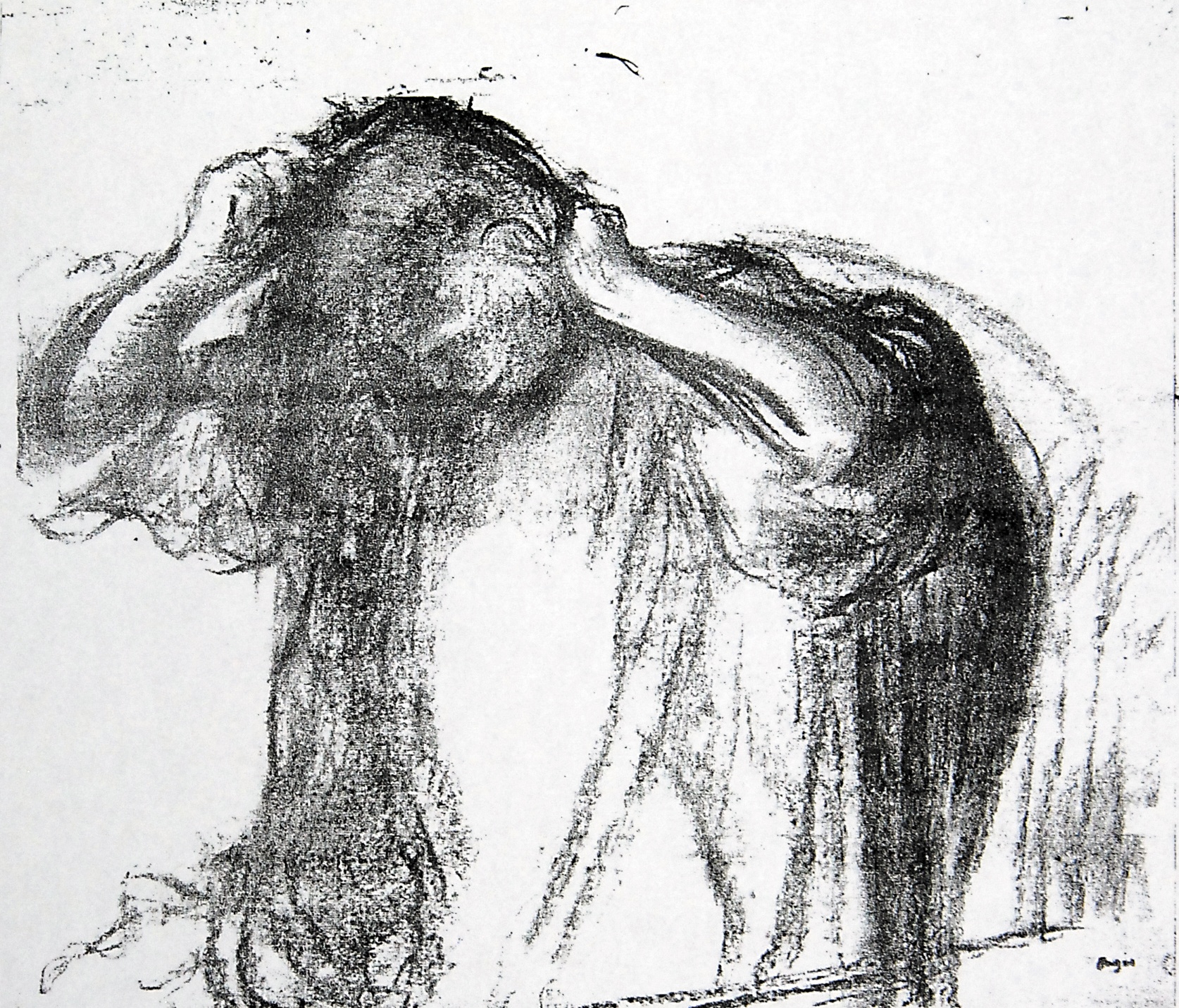 Woman Combing Her Hair 1627.jpg