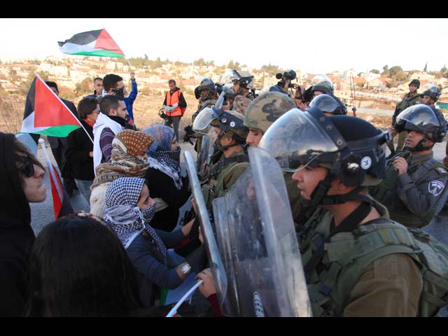 629526 20131201064154.jpg