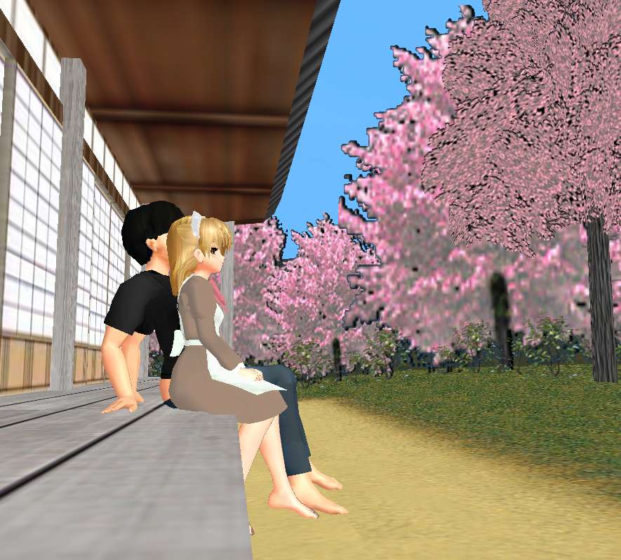 Любуется сакурой с другом