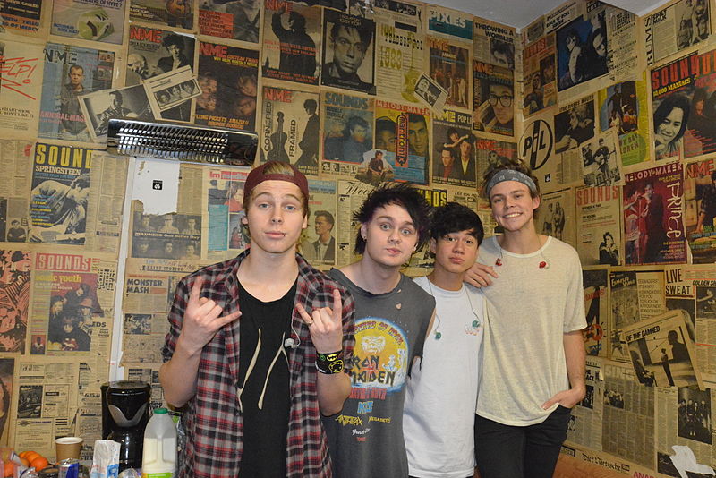5sosuktour2014 1.jpg