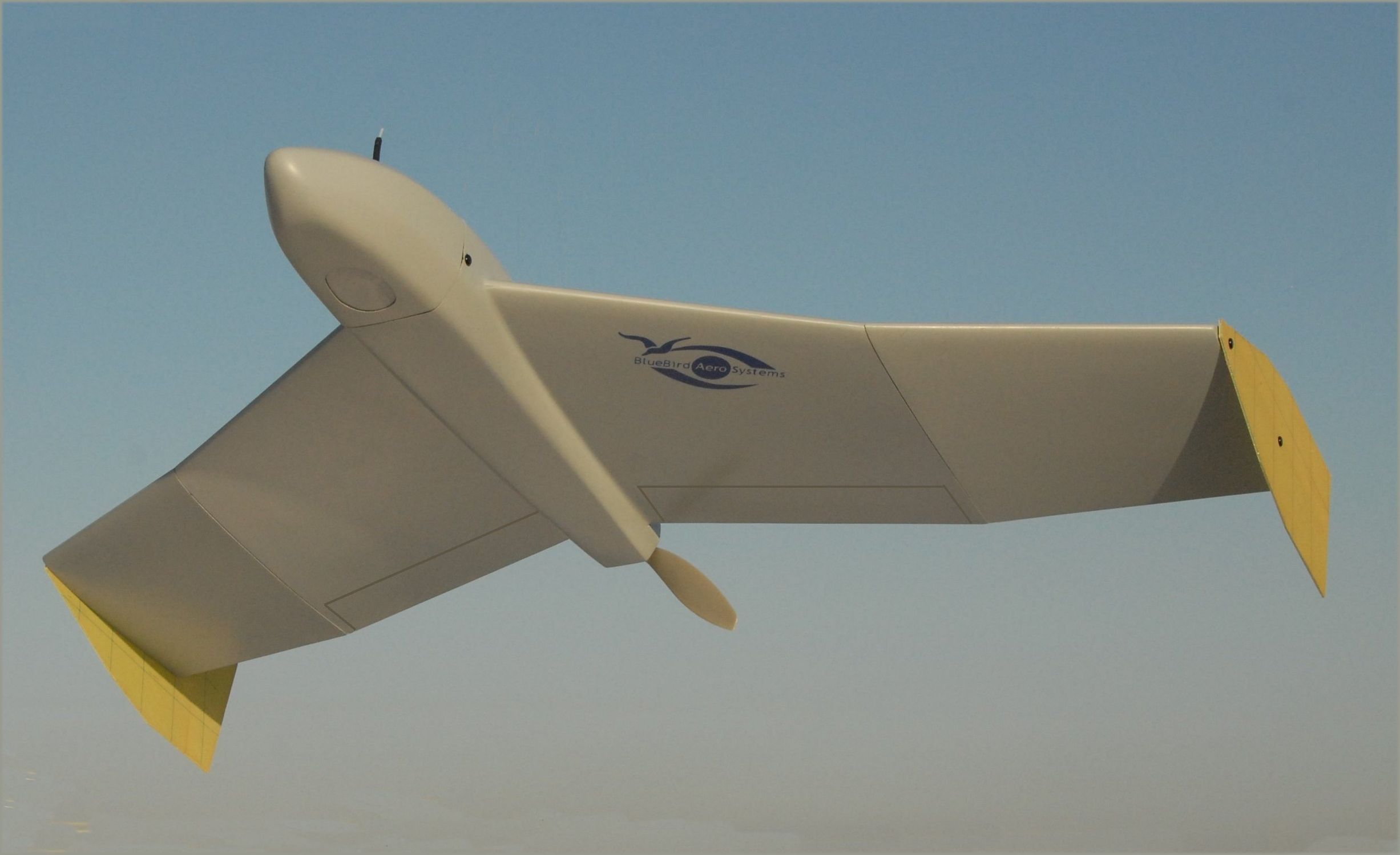 Файл:Fixed-wing-civilian-uavs-61783-2378135.jpg