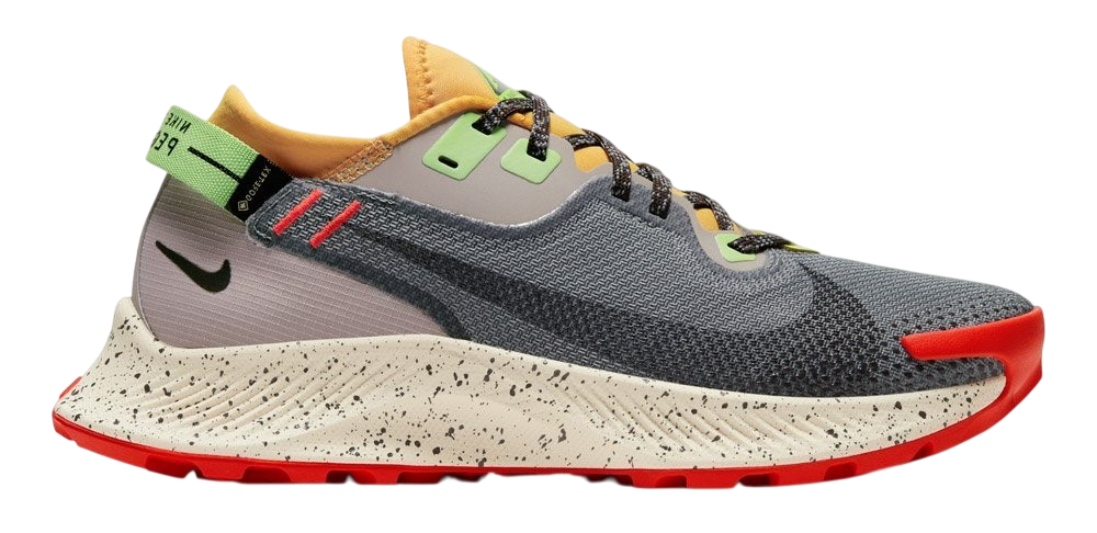 Nike Pegasus Trail 2 Gore-Tex.png