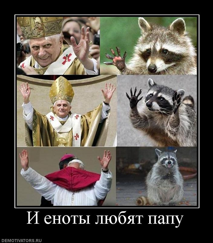 Еноты любят Папу.jpg