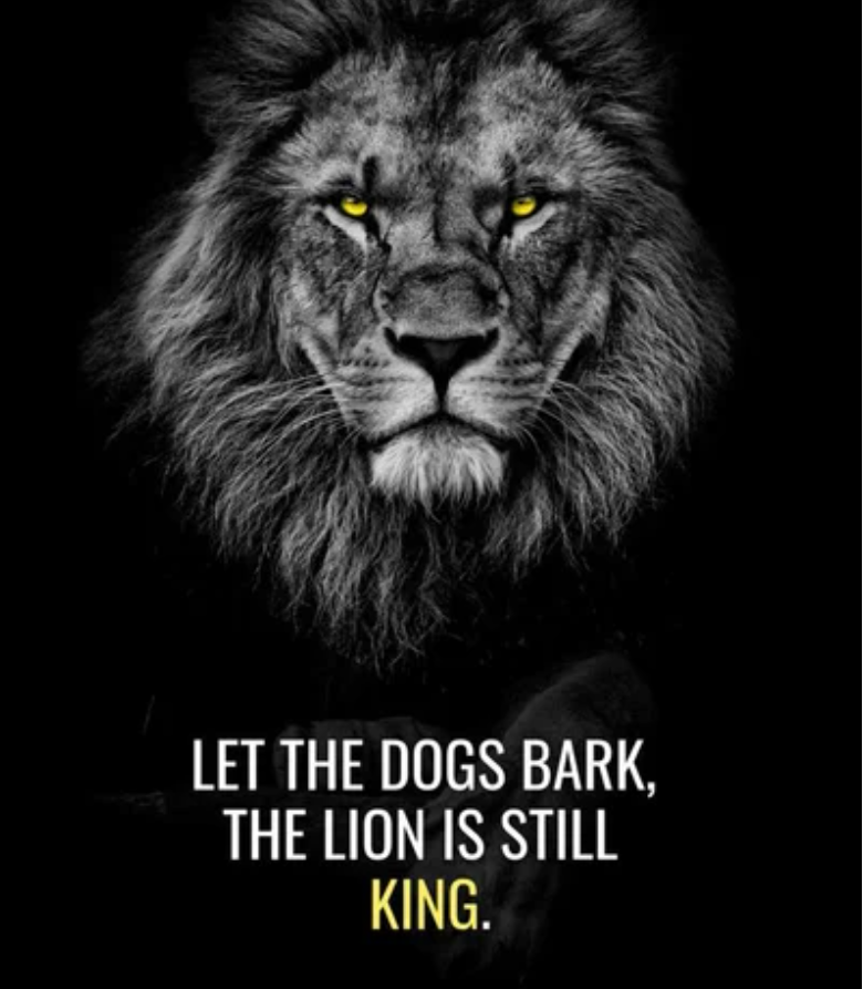 Пока собаки лают, лев остается королем