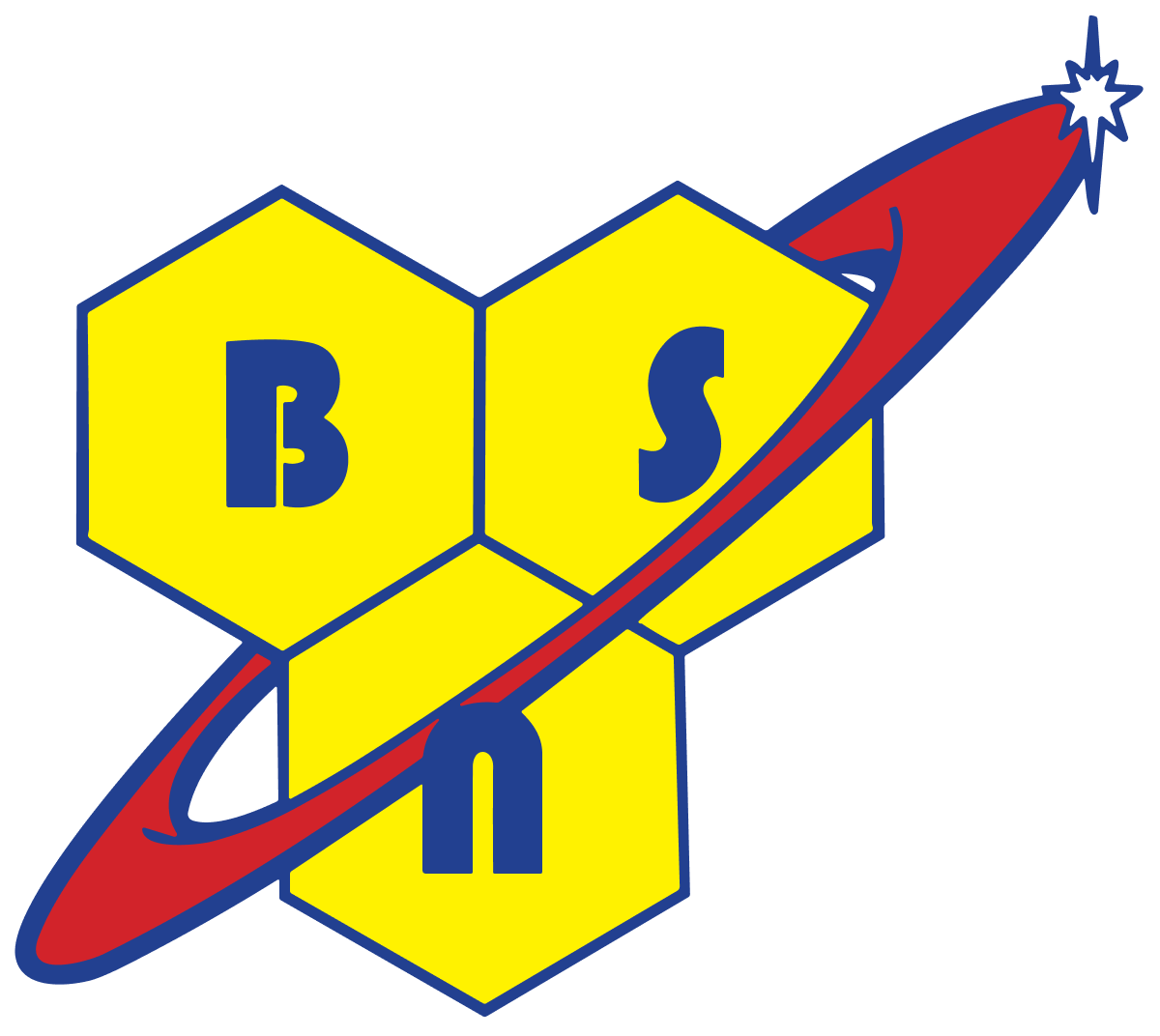 Логотип кампании BSN.png
