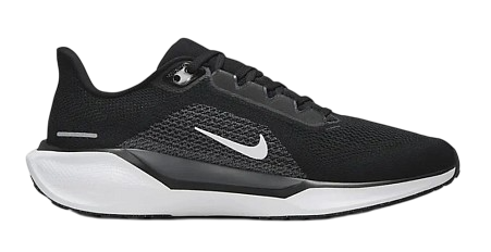 Nike Air Zoom Pegasus 41.png